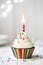 Birthday cupcake with candle