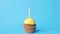 Birthday cupcake with one burning candle