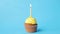 Birthday cupcake with one burning candle