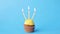 Birthday cupcake with three burning candles