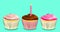 Birthday cupcakes