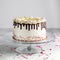 Birthday Drip Layered Cake with chocolate ganache and sprinkles on a white background with party decor.