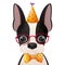 Birthday greeting Boston terrier portrait in hat, glasses with tie bow in cartoon style isolated on white background.