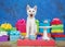 Birthday kitten with heterochromia eyes, cup cake on pedestal