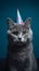 Birthday purrs, cat with hat on blue