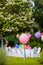 Birthday table with rainbow balloons. Summer holiday in the park