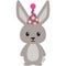 Birthday Woodland Bunny Rabbit Illustration