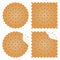Biscuit, cracker with bite marks and crumbles. Vector.