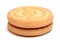 Biscuit Isolated