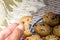 biscuits with a bite and copy space, plate firm hand holding, copy space left