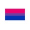 Bisexual flag flat icon, vector illustration