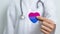 Bisexuality Celebrate Day and LGBT pride month, LGBTQ+ or LGBTQIA+ concept. Doctor holding purple, pink and blue heart shape for