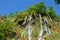 Bisheh waterfall in Zagros forests of Lorestan , Iran