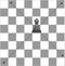 Bishop chess rules