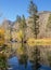 Bishop Creek area of eastern Sierra`s in autumn