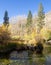 Bishop Creek area of eastern Sierra`s in autumn