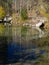 Bishop Creek area of eastern Sierra`s in autumn