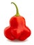 Bishop`s crown pepper