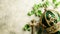 Bishop St. Patrick's vestment, headdress decorated gold cross and green precious stones, shamrock, light background.