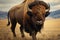 Bison of the Americas, a powerful and grand herbivore, commands the grassy expanses