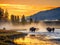 Bison Buffalo herd in early morning light in the Lamar Valley of Yellowstone National Park in Wyoiming