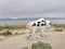 Bison Buffalo Statue at Antelope Island State Park, Salt Lake City, Utah