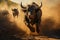 Bison Bulls Wildlife Hunting - Aggressive Charge Close-Up Shot Reveals Running Animal in Africa with Intense Aggression and Fierce