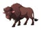 Bison Cartoon Animal Illustration Color