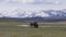 Bison eating grass in American Landscape. Yellowstone National Park.