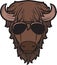 Bison head with aviator sunglasses color