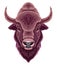 Bison head, vector isolated animal