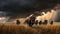 Bison herd moving through a prairie storm