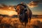 Bison roaming in Yellowstone grassland at sunset, USA, breathtaking scene