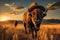 Bison roaming in Yellowstone grassland at sunset, USA, breathtaking scene