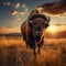 Bison roaming in Yellowstone grassland at sunset, USA, breathtaking scene
