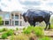 Bison sculpture of the Sam Noble Oklahoma Museum of Natural History