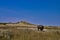 Bison Standing In the Badlands Roosevelt National Park ND