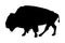 Bison vector silhouette illustration isolated on white background.  Portrait of Buffalo.