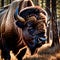 Bison wild animal living in nature, part of ecosystem