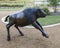 A bison yearling in the Tulsa Herd Grand Monument at LaFortune Park in Tulsa, Oklahoma.