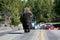 Bison in yellowstone national park