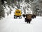 Bisons Buffalos in Winter in Yellowstone National Park, Wyoming and Montana. Northwest. Yellowstone is a winter wonderlandpe.