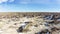 Bisti Badlands