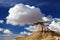 Bisti Badlands, New Mexico, USA