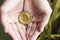 Bit coin, hands, save, plants, keep, money, finance, crypto, bitcoin
