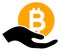 Bitcoiin Donation Hand Raster Icon Illustration