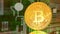 Bitcoin - bit coin BTC the new virtual money