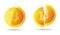 Bitcoin and broken bitcoin yellow cryptocurrency logo