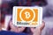 Bitcoin Cash Cryptocurrency logo