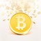 Bitcoin cash golden coin.